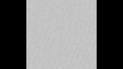 Arianna Collins online show from 02.24.26