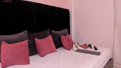 Snapshot of ariel_jonnes chatting on 11.26.25 Ariel online show from 11.26.25