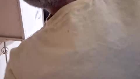 arielferdman online show from 10.28.25