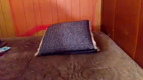 ariellejade06 online show from 02.19.26