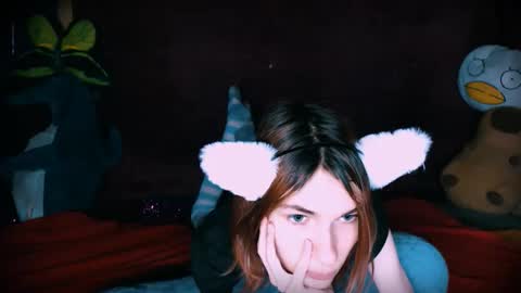 Snapshot of arielpinkcat chatting on 11.23.25 arielpinkcat online show from 11.23.25