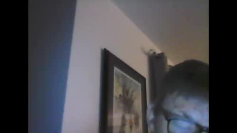 Snapshot of ariens chatting on 01.14.25 ariens online show from 01.14.25