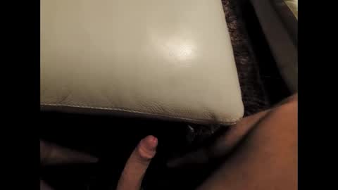 arnoldia343515 online show from 02.02.26