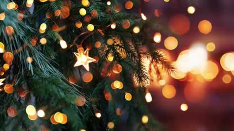 natra online show from 12.23.24