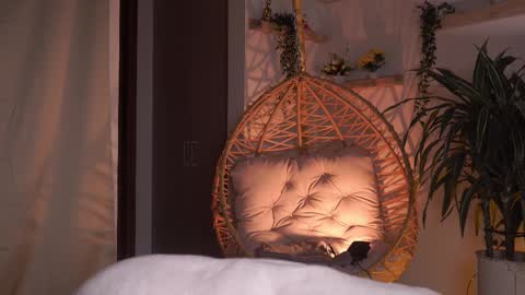 Snapshot of artemia_ chatting on 02.23.25 Amanda online show from 02.23.25