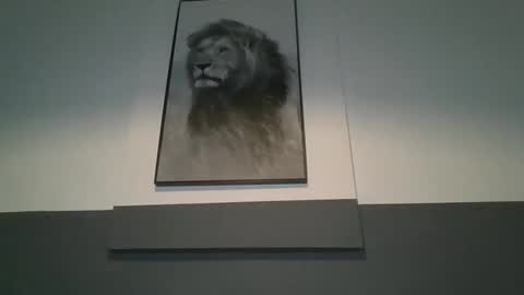 Snapshot of arthure944491 chatting on 10.29.25 arthure944491 online show from 10.29.25