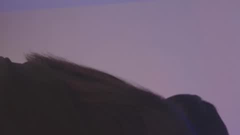 Snapshot of ashe_e chatting on 01.26.25 Ashe online show from 01.26.25