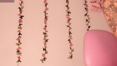 Snapshot of ashleyroys_111 chatting on 02.18.26 dahiana online show from 02.18.26