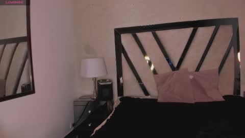 PAO   online show from 01.11.26