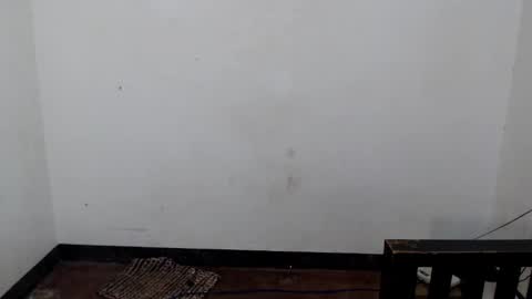 Snapshot of asian_shane69 chatting on 12.05.25 Shane online show from 12.05.25