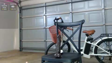 Snapshot of asianpina chatting on 12.15.25 Anne online show from 12.15.25