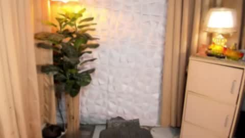 CHESKA online show from 09.12.25