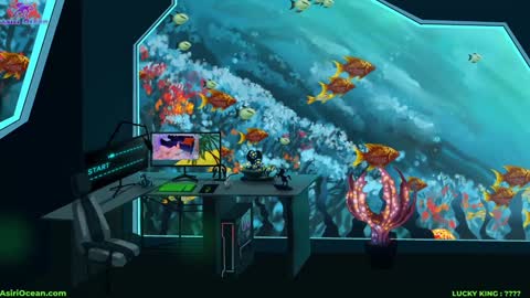 Asiri   pronounced Ah-siri Please no nicknames   3 online show from 03.05.26