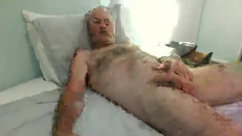 Snapshot of auckland26 chatting on 12.02.25 auckland26 online show from 12.02.25