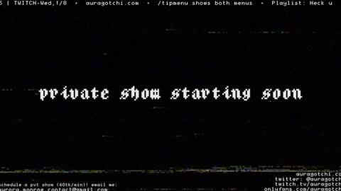 Snapshot of auragotchi chatting on 01.04.25 Aurora  Aura online show from 01.04.25