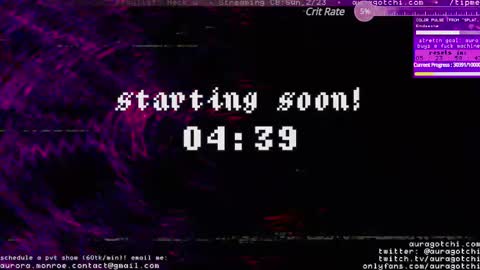 Snapshot of auragotchi chatting on 02.23.25 Aurora  Aura online show from 02.23.25