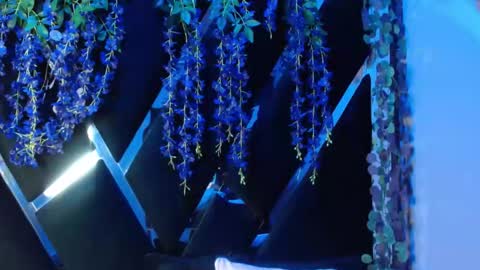 Snapshot of aurora18palmer chatting on 09.18.25 aurora online show from 09.18.25