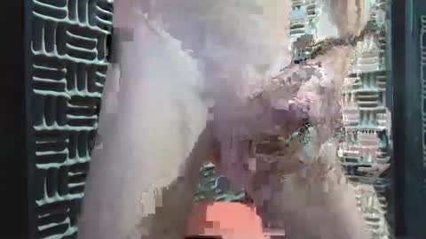 Snapshot of aussieraz chatting on 12.16.24 aussieraz online show from 12.16.24