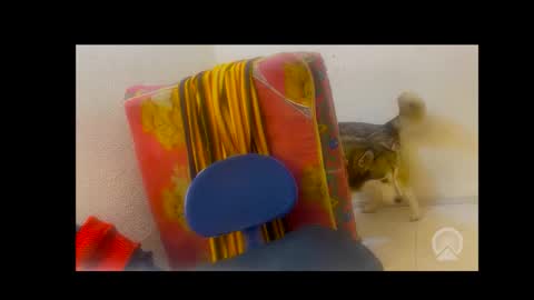 Snapshot of axelpadilla98 chatting on 02.04.26 deliciosodemente online show from 02.04.26