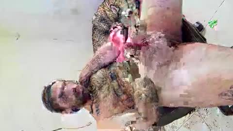 Snapshot of axelpadilla98 chatting on 03.04.26 deliciosodemente online show from 03.04.26