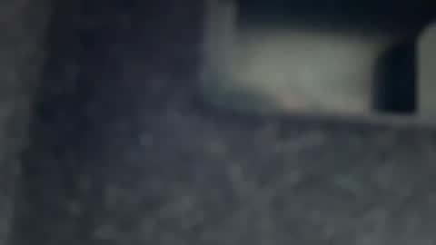 Snapshot of aymax95 chatting on 11.17.25 AYBOY online show from 11.17.25