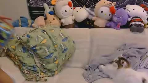 aznp1ea5er online show from 02.19.26