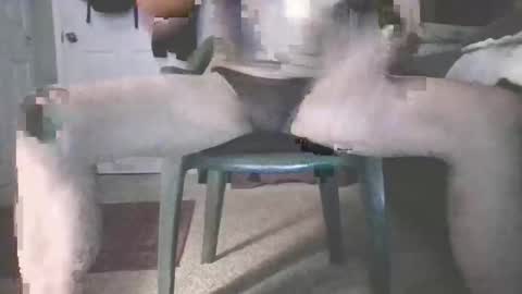 bjohnson420 online show from 11.16.25