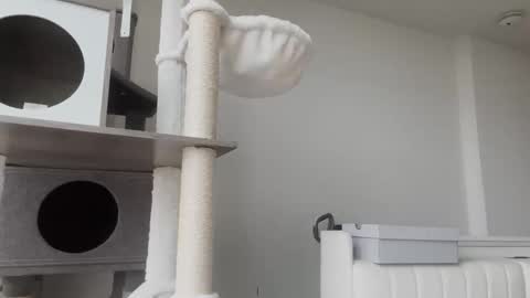 Snapshot of babydaddiii808 chatting on 01.08.26 DADDY online show from 01.08.26