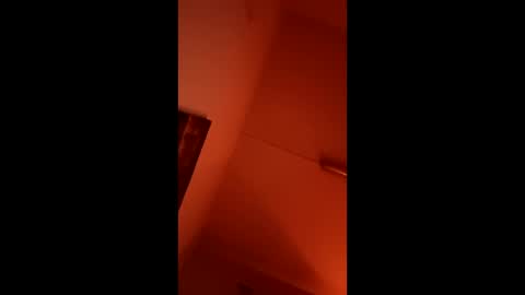 bacardy1981 online show from 04.04.26