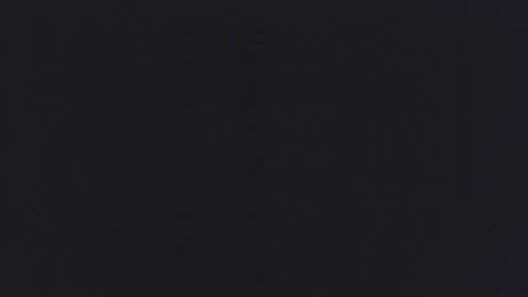 backchat14 online show from 11.01.25