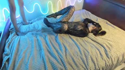 Snapshot of bada_b1ng chatting on 12.07.24 bada_b1ng online show from 12.07.24