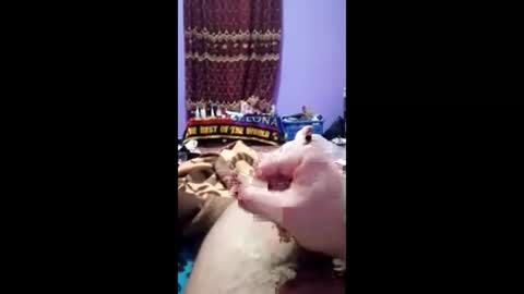 Snapshot of bahaa5555 chatting on 03.01.26 bahaa5555 online show from 03.01.26