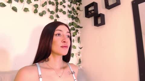 bahianawood online show from 12.12.24