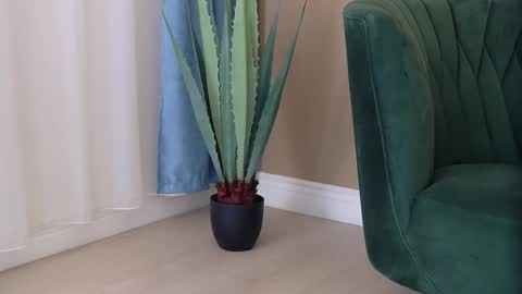 Snapshot of bailey_rush chatting on 12.03.25 bailey_rush online show from 12.03.25