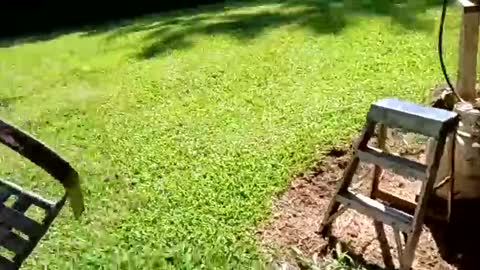 ballshanginglowaf online show from 09.19.25