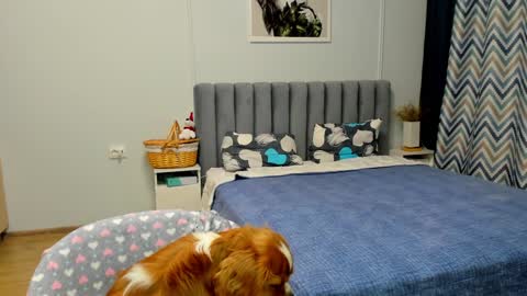 Snapshot of bam_bi chatting on 01.10.25 Kira online show from 01.10.25