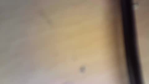 bangerwood online show from 10.08.25