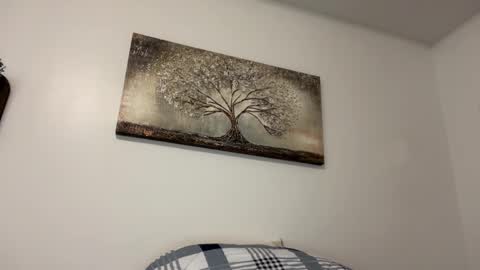 chicka online show from 02.14.25