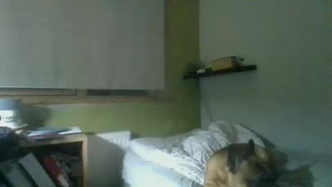 bart_poland online show from 10.23.25