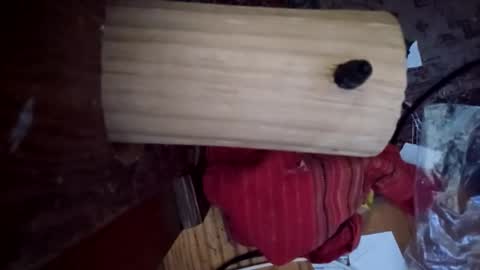 Snapshot of bartender3127 chatting on 12.06.24 bartender3127 online show from 12.06.24