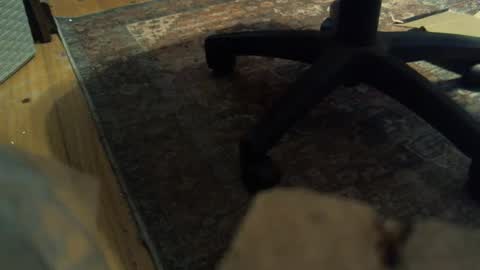 Snapshot of bartender3127 chatting on 01.16.25 bartender3127 online show from 01.16.25