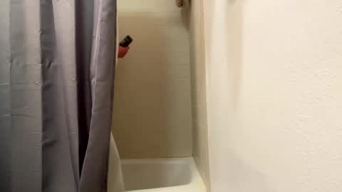 bathingcat online show from 01.06.25