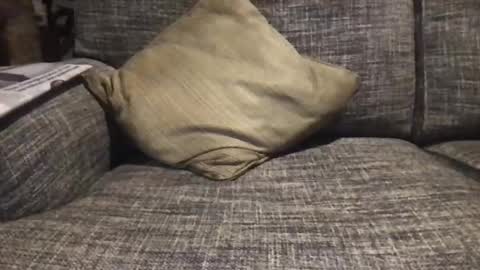 baykiwi54 online show from 12.17.24