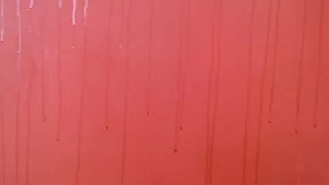 bayonette_black online show from 11.23.25