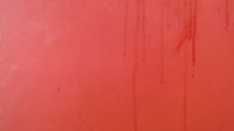 bayonette_black online show from 11.24.25