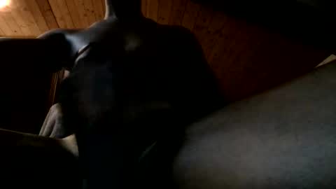 Ferdinandooo online show from 06.02.26