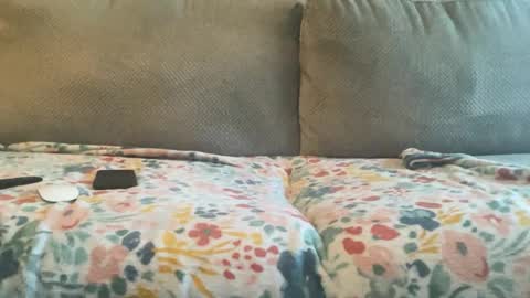 Snapshot of bbcfun44 chatting on 01.30.25 Zaddy online show from 01.30.25