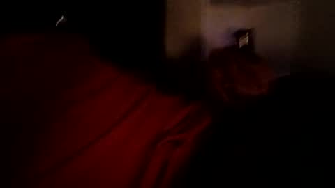 bbetoven online show from 10.27.25