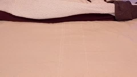 Love online show from 11.27.25