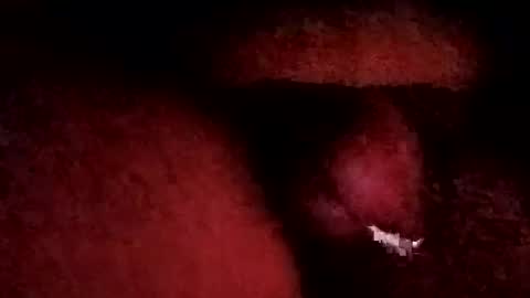 bcfalcon69 online show from 01.19.26